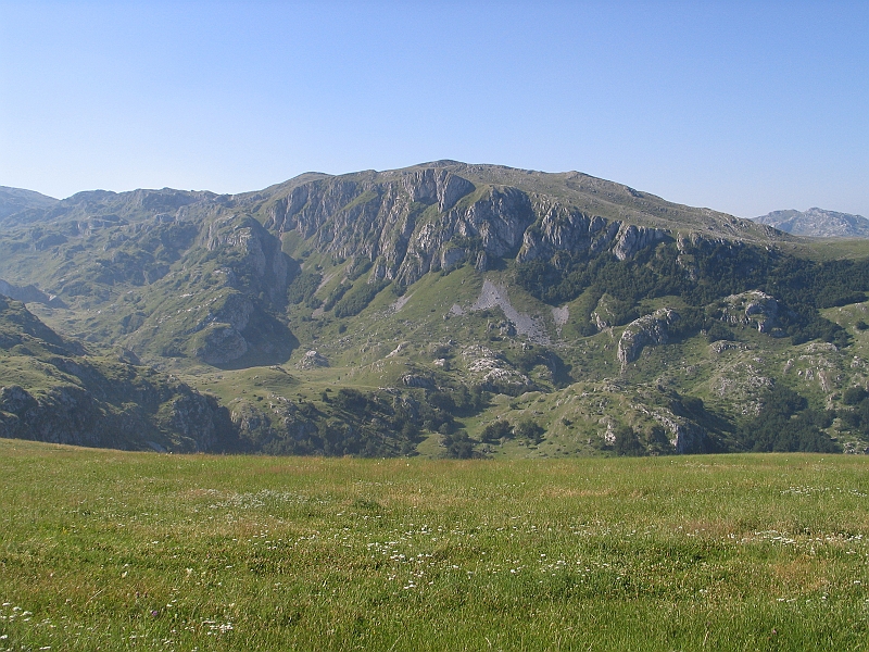 Original image